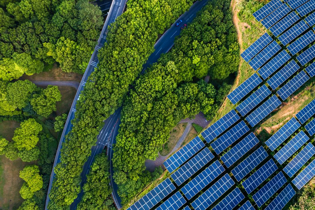 A large field with solar panels